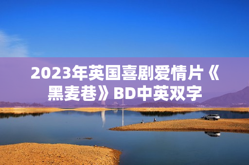 2023年英国喜剧爱情片《黑麦巷》BD中英双字