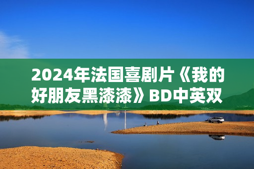 2024年法国喜剧片《我的好朋友黑漆漆》BD中英双字