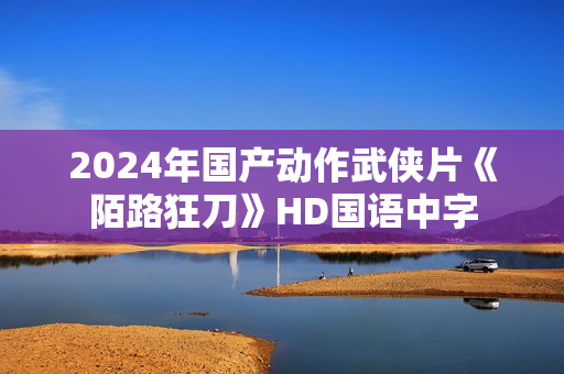 2024年国产动作武侠片《陌路狂刀》HD国语中字