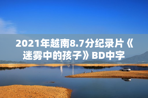 2021年越南8.7分纪录片《迷雾中的孩子》BD中字