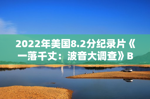2022年美国8.2分纪录片《一落千丈：波音大调查》BD中英双字