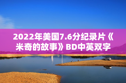2022年美国7.6分纪录片《米奇的故事》BD中英双字