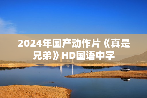 2024年国产动作片《真是兄弟》HD国语中字