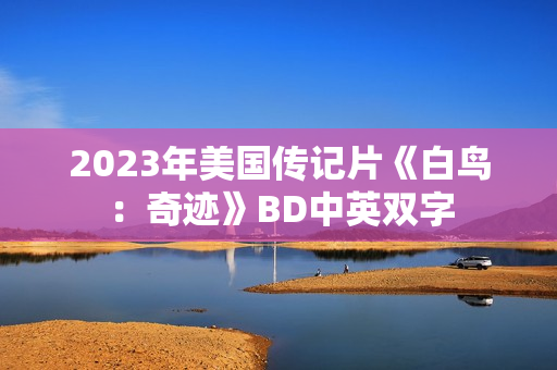 2023年美国传记片《白鸟：奇迹》BD中英双字