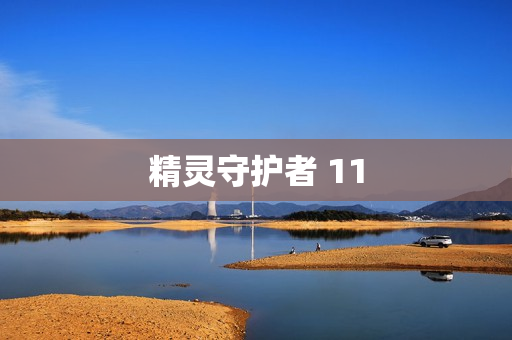 精灵守护者 11