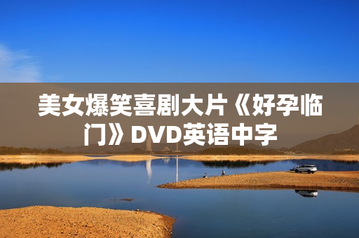 美女爆笑喜剧大片《好孕临门》DVD英语中字