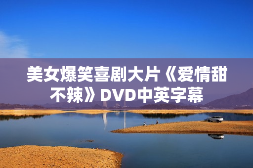 美女爆笑喜剧大片《爱情甜不辣》DVD中英字幕