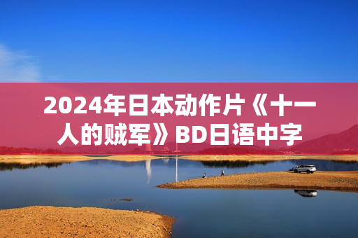2024年日本动作片《十一人的贼军》BD日语中字