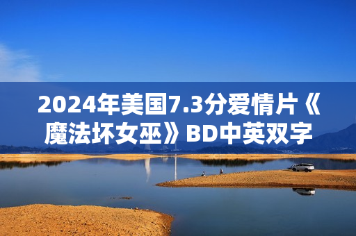 2024年美国7.3分爱情片《魔法坏女巫》BD中英双字