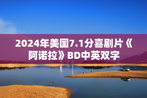 2024年美国7.1分喜剧片《阿诺拉》BD中英双字