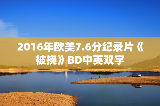 2016年欧美7.6分纪录片《被挠》BD中英双字