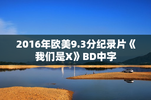 2016年欧美9.3分纪录片《我们是X》BD中字