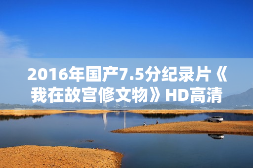 2016年国产7.5分纪录片《我在故宫修文物》HD高清国语中字