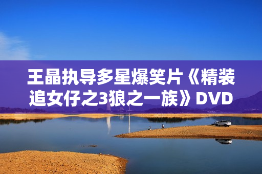 王晶执导多星爆笑片《精装追女仔之3狼之一族》DVD国语