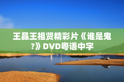 王晶王祖贤精彩片《谁是鬼?》DVD粤语中字