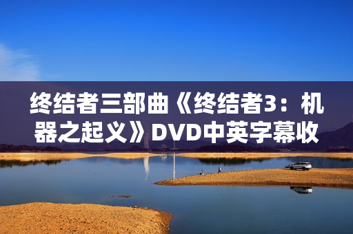 终结者三部曲《终结者3：机器之起义》DVD中英字幕收藏版