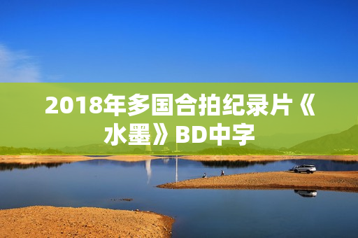2018年多国合拍纪录片《水墨》BD中字