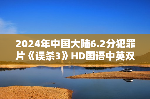 2024年中国大陆6.2分犯罪片《误杀3》HD国语中英双字