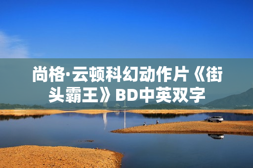 尚格·云顿科幻动作片《街头霸王》BD中英双字