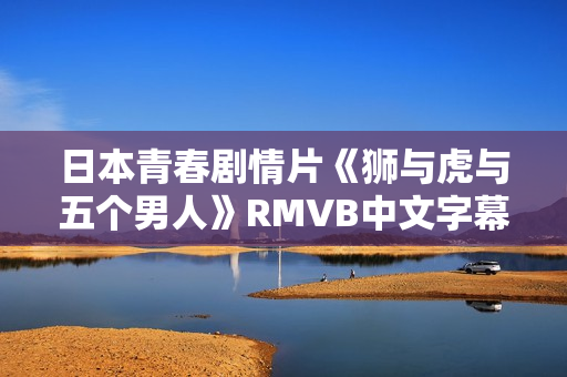 日本青春剧情片《狮与虎与五个男人》RMVB中文字幕