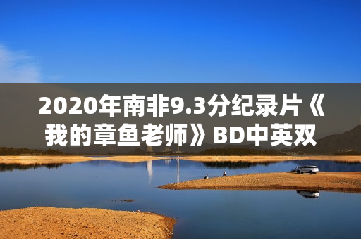 2020年南非9.3分纪录片《我的章鱼老师》BD中英双字