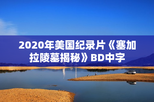 2020年美国纪录片《塞加拉陵墓揭秘》BD中字