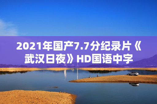 2021年国产7.7分纪录片《武汉日夜》HD国语中字