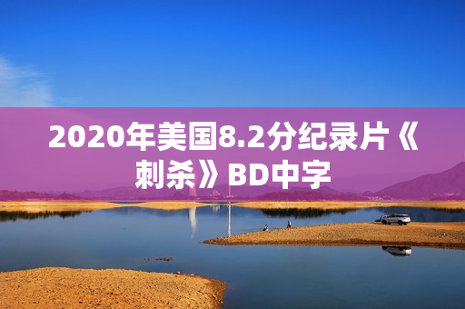 2020年美国8.2分纪录片《刺杀》BD中字