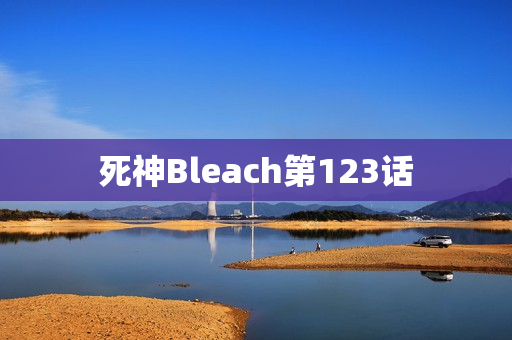 死神Bleach第123话