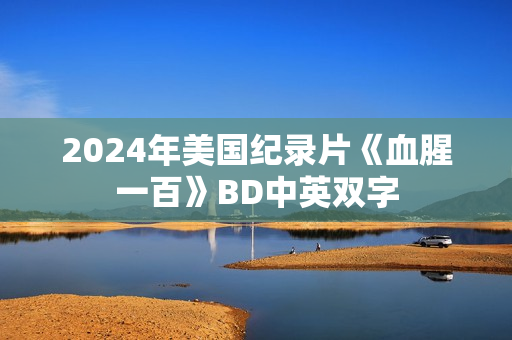 2024年美国纪录片《血腥一百》BD中英双字