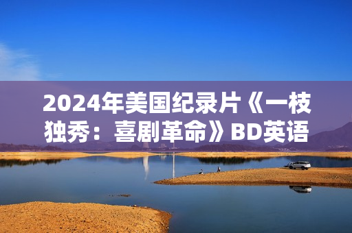 2024年美国纪录片《一枝独秀：喜剧革命》BD英语中字