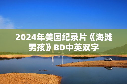 2024年美国纪录片《海滩男孩》BD中英双字
