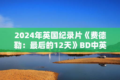 2024年英国纪录片《费德勒：最后的12天》BD中英双字