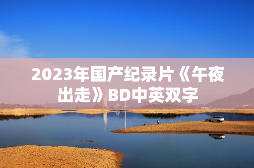 2023年国产纪录片《午夜出走》BD中英双字