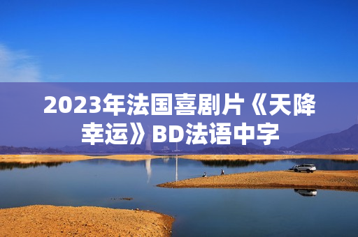2023年法国喜剧片《天降幸运》BD法语中字