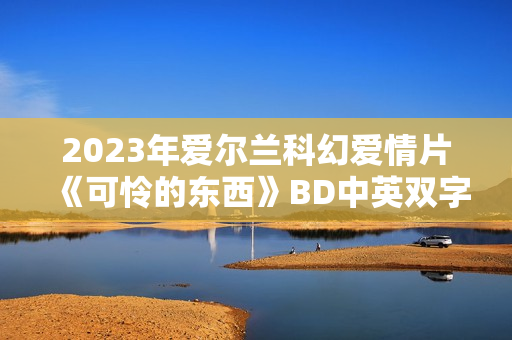 2023年爱尔兰科幻爱情片《可怜的东西》BD中英双字