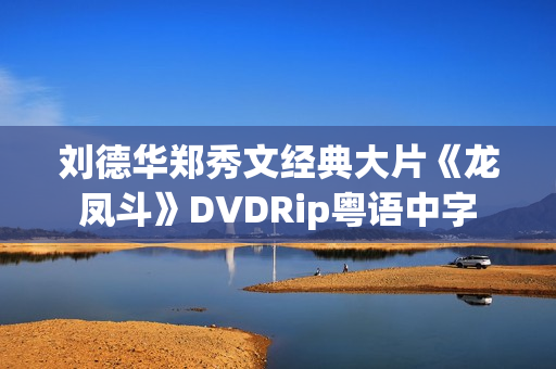 刘德华郑秀文经典大片《龙凤斗》DVDRip粤语中字