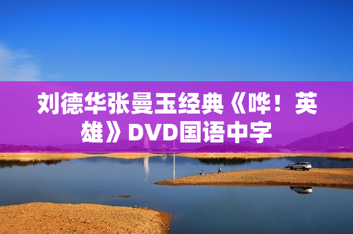 刘德华张曼玉经典《哗！英雄》DVD国语中字