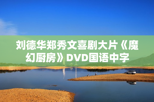 刘德华郑秀文喜剧大片《魔幻厨房》DVD国语中字