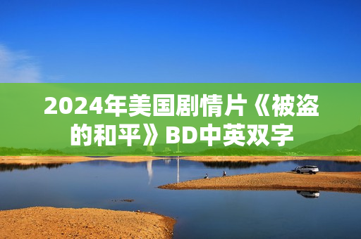 2024年美国剧情片《被盗的和平》BD中英双字