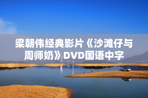梁朝伟经典影片《沙滩仔与周师奶》DVD国语中字