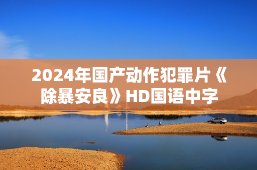 2024年国产动作犯罪片《除暴安良》HD国语中字