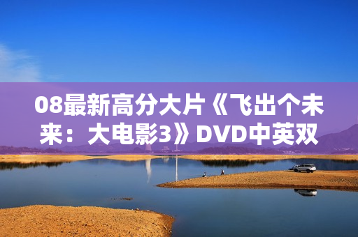 08最新高分大片《飞出个未来：大电影3》DVD中英双字