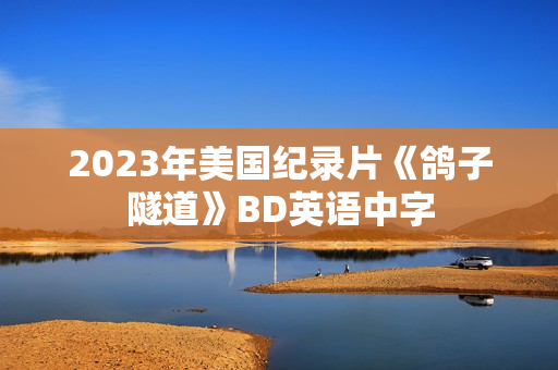 2023年美国纪录片《鸽子隧道》BD英语中字