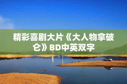 精彩喜剧大片《大人物拿破仑》BD中英双字