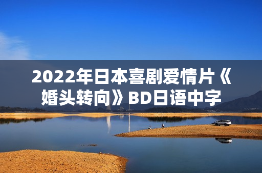 2022年日本喜剧爱情片《婚头转向》BD日语中字