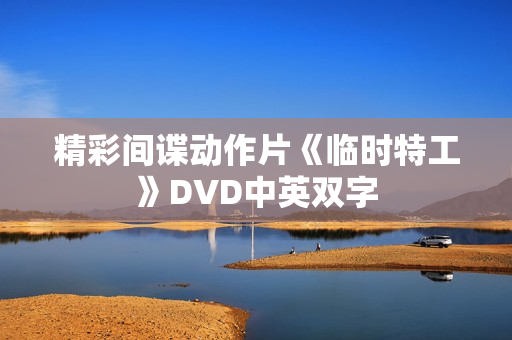 精彩间谍动作片《临时特工》DVD中英双字