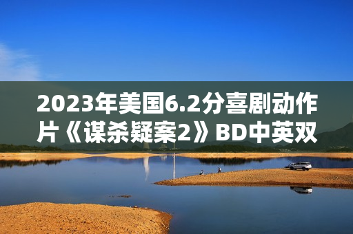 2023年美国6.2分喜剧动作片《谋杀疑案2》BD中英双字
