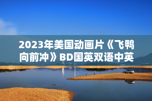 2023年美国动画片《飞鸭向前冲》BD国英双语中英双字