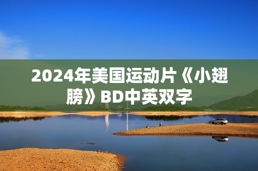 2024年美国运动片《小翅膀》BD中英双字